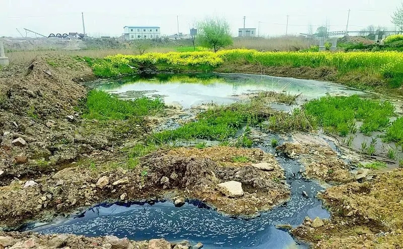 黑龍江省2024年農(nóng)村生活污水、黑臭水體治理工作方案出爐！